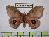  ( - BC-FMP-0577)  @14 [ ] Copyright (2010) Unspecified Research Collection of Frank Meister