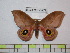  ( - BC-FMP-0579)  @13 [ ] Copyright (2010) Unspecified Research Collection of Frank Meister