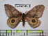  ( - BC-FMP-0580)  @13 [ ] Copyright (2010) Unspecified Research Collection of Frank Meister