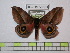  ( - BC-FMP-0581)  @13 [ ] Copyright (2010) Unspecified Research Collection of Frank Meister