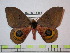  ( - BC-FMP-0596)  @14 [ ] Copyright (2010) Unspecified Research Collection of Frank Meister