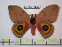  ( - BC-FMP-0597)  @14 [ ] Copyright (2010) Unspecified Research Collection of Frank Meister
