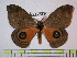  ( - BC-FMP-0602)  @14 [ ] Copyright (2010) Unspecified Research Collection of Frank Meister