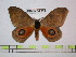  ( - BC-FMP-0603)  @13 [ ] Copyright (2010) Unspecified Research Collection of Frank Meister