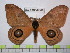  ( - BC-FMP-0606)  @13 [ ] Copyright (2010) Unspecified Research Collection of Frank Meister