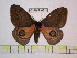  ( - BC-FMP-0611)  @14 [ ] Copyright (2010) Unspecified Research Collection of Frank Meister