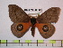  ( - BC-FMP-0612)  @14 [ ] Copyright (2010) Unspecified Research Collection of Frank Meister