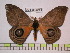  ( - BC-FMP-0621)  @14 [ ] Copyright (2010) Unspecified Research Collection of Frank Meister