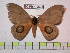  ( - BC-FMP-0633)  @11 [ ] Copyright (2010) Unspecified Research Collection of Frank Meister