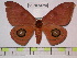  ( - BC-FMP-0652)  @13 [ ] Copyright (2010) Unspecified Research Collection of Frank Meister