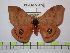  ( - BC-FMP-0677)  @11 [ ] Copyright (2010) Unspecified Research Collection of Frank Meister