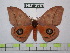  ( - BC-FMP-0678)  @11 [ ] Copyright (2010) Unspecified Research Collection of Frank Meister