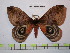  ( - BC-FMP-0691)  @12 [ ] Copyright (2010) Unspecified Research Collection of Frank Meister