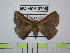  ( - BC-FMP-0708)  @14 [ ] Copyright (2010) Unspecified Research Collection of Frank Meister