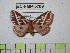 ( - BC-FMP-0709)  @13 [ ] Copyright (2010) Unspecified Research Collection of Frank Meister