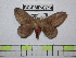 ( - BC-FMP-0714)  @14 [ ] Copyright (2010) Unspecified Research Collection of Frank Meister