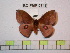  ( - BC-FMP-0748)  @13 [ ] Copyright (2010) Unspecified Research Collection of Frank Meister