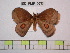  ( - BC-FMP-0751)  @13 [ ] Copyright (2010) Unspecified Research Collection of Frank Meister