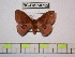  ( - BC-FMP-0752)  @13 [ ] Copyright (2010) Unspecified Research Collection of Frank Meister