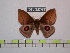  ( - BC-FMP-0753)  @13 [ ] Copyright (2010) Unspecified Research Collection of Frank Meister