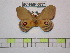  ( - BC-FMP-0771)  @11 [ ] Copyright (2010) Unspecified Research Collection of Frank Meister