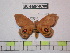  ( - BC-FMP-0780)  @13 [ ] Copyright (2010) Unspecified Research Collection of Frank Meister