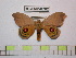  ( - BC-FMP-0782)  @12 [ ] Copyright (2010) Unspecified Research Collection of Frank Meister