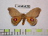  ( - BC-FMP-0783)  @12 [ ] Copyright (2010) Unspecified Research Collection of Frank Meister