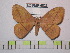  ( - BC-FMP-0823)  @13 [ ] Copyright (2010) Unspecified Research Collection of Frank Meister