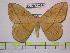  ( - BC-FMP-0844)  @14 [ ] Copyright (2010) Unspecified Research Collection of Frank Meister