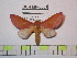  ( - BC-FMP-0861)  @11 [ ] Copyright (2010) Unspecified Research Collection of Frank Meister