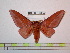  ( - BC-FMP-0865)  @14 [ ] Copyright (2010) Unspecified Research Collection of Frank Meister