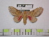  ( - BC-FMP-0909)  @13 [ ] Copyright (2010) Unspecified Research Collection of Frank Meister