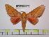  ( - BC-FMP-0925)  @15 [ ] Copyright (2010) Unspecified Research Collection of Frank Meister