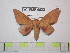  ( - BC-FMP-0932)  @13 [ ] Copyright (2010) Unspecified Research Collection of Frank Meister