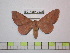  ( - BC-FMP-0935)  @13 [ ] Copyright (2010) Unspecified Research Collection of Frank Meister