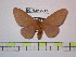  ( - BC-FMP-0944)  @12 [ ] Copyright (2010) Unspecified Research Collection of Frank Meister