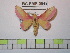  ( - BC-FMP-0949)  @13 [ ] Copyright (2010) Unspecified Research Collection of Frank Meister