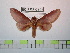  ( - BC-FMP-0955)  @13 [ ] Copyright (2010) Unspecified Research Collection of Frank Meister