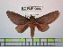  ( - BC-FMP-0956)  @14 [ ] Copyright (2010) Unspecified Research Collection of Frank Meister