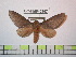  ( - BC-FMP-0957)  @13 [ ] Copyright (2010) Unspecified Research Collection of Frank Meister