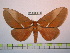  ( - BC-FMP-0968)  @14 [ ] Copyright (2010) Unspecified Research Collection of Frank Meister