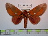  ( - BC-FMP-0972)  @11 [ ] Copyright (2010) Unspecified Research Collection of Frank Meister