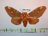  ( - BC-FMP-0983)  @11 [ ] Copyright (2010) Unspecified Research Collection of Frank Meister