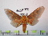  ( - BC-FMP-0994)  @12 [ ] Copyright (2010) Unspecified Research Collection of Frank Meister