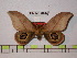  ( - BC-FMP-0487)  @13 [ ] Copyright (2010) Unspecified Research Collection of Frank Meister