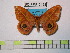  ( - BC-FMP-0495)  @13 [ ] Copyright (2010) Unspecified Research Collection of Frank Meister