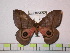  ( - BC-FMP-0500)  @14 [ ] Copyright (2010) Unspecified Research Collection of Frank Meister