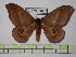  ( - BC-FMP-0515)  @14 [ ] Copyright (2010) Unspecified Research Collection of Frank Meister