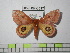 ( - BC-FMP-0517)  @13 [ ] Copyright (2010) Unspecified Research Collection of Frank Meister